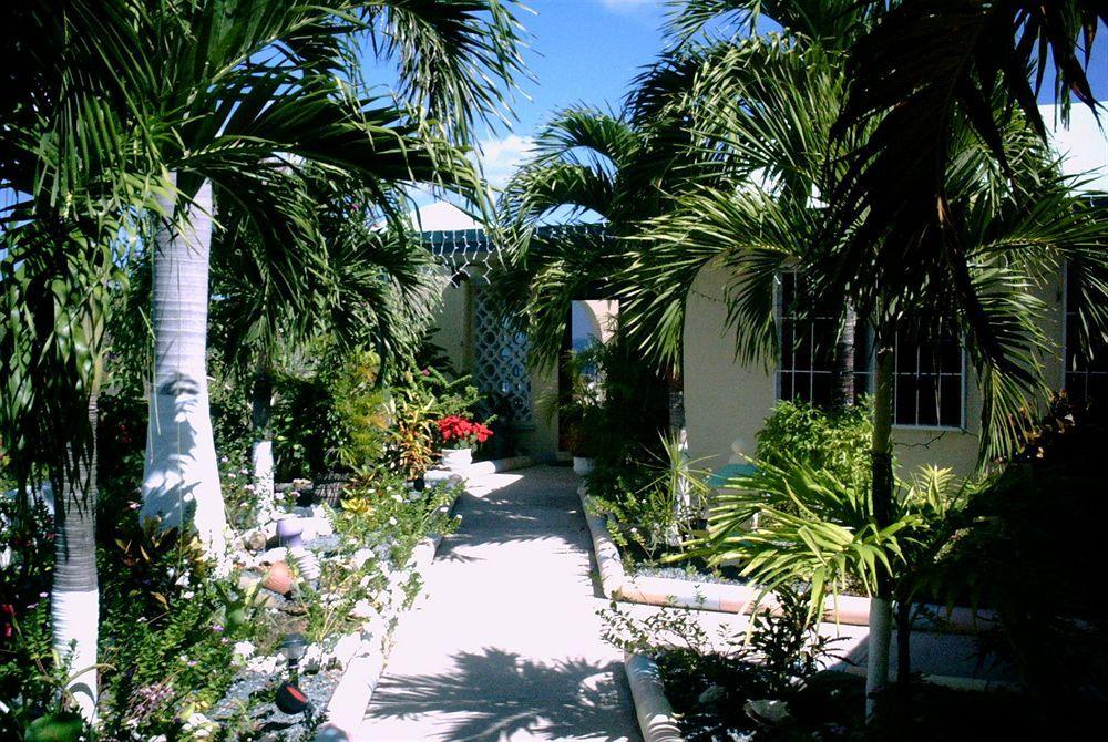 Saint Croix Carringtons Inn المظهر الخارجي الصورة