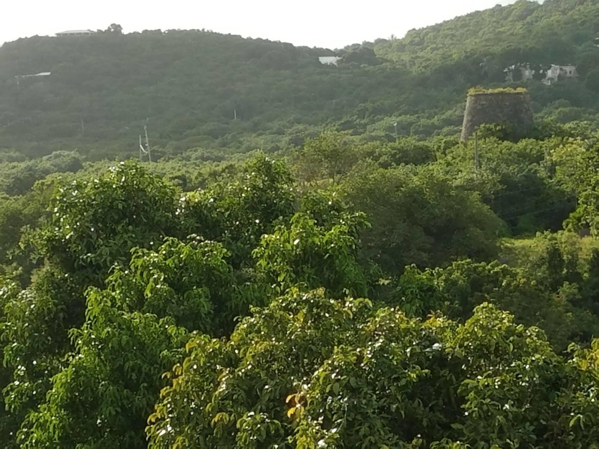 Saint Croix Carringtons Inn المظهر الخارجي الصورة